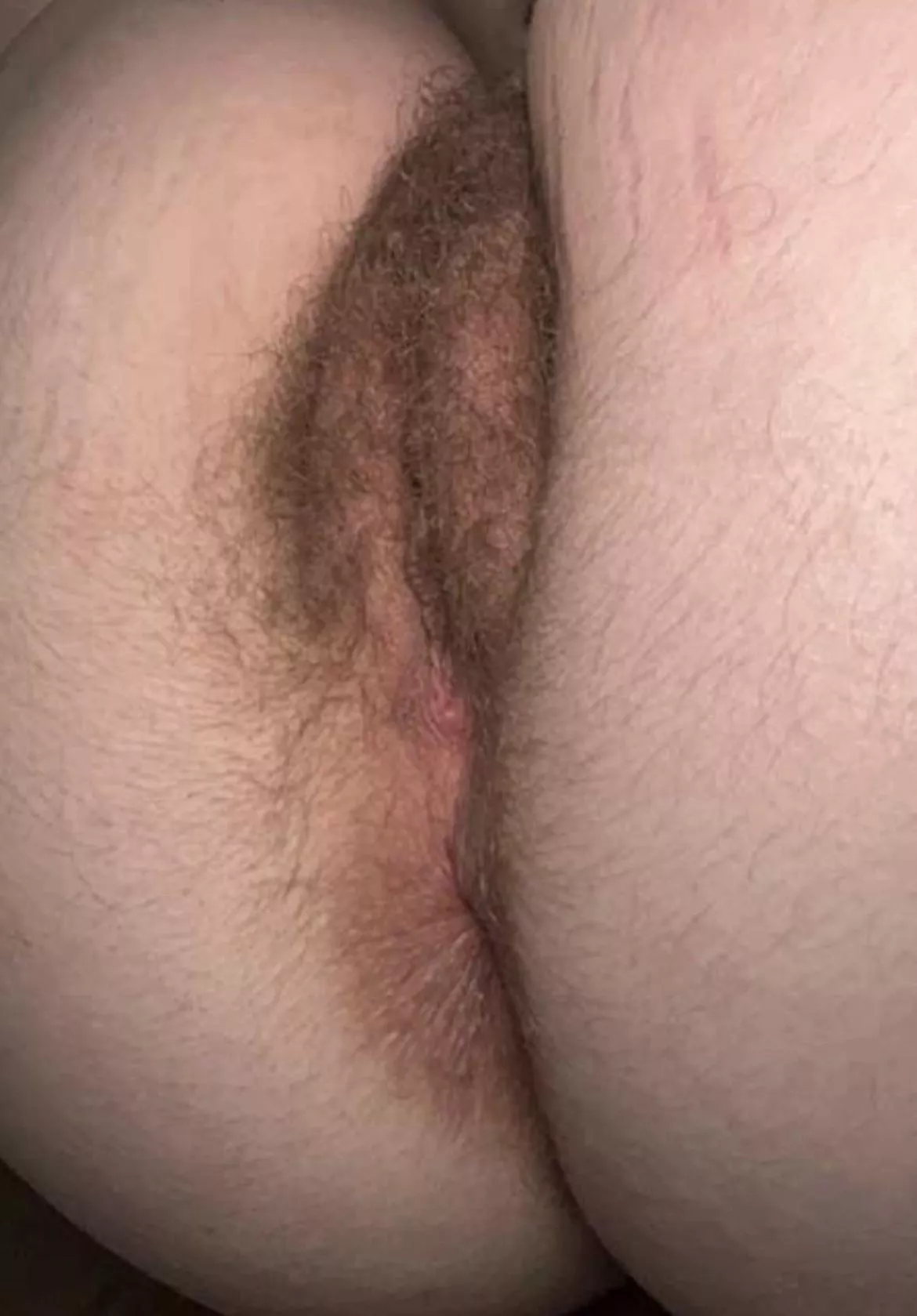 Bus[h] is best, right?