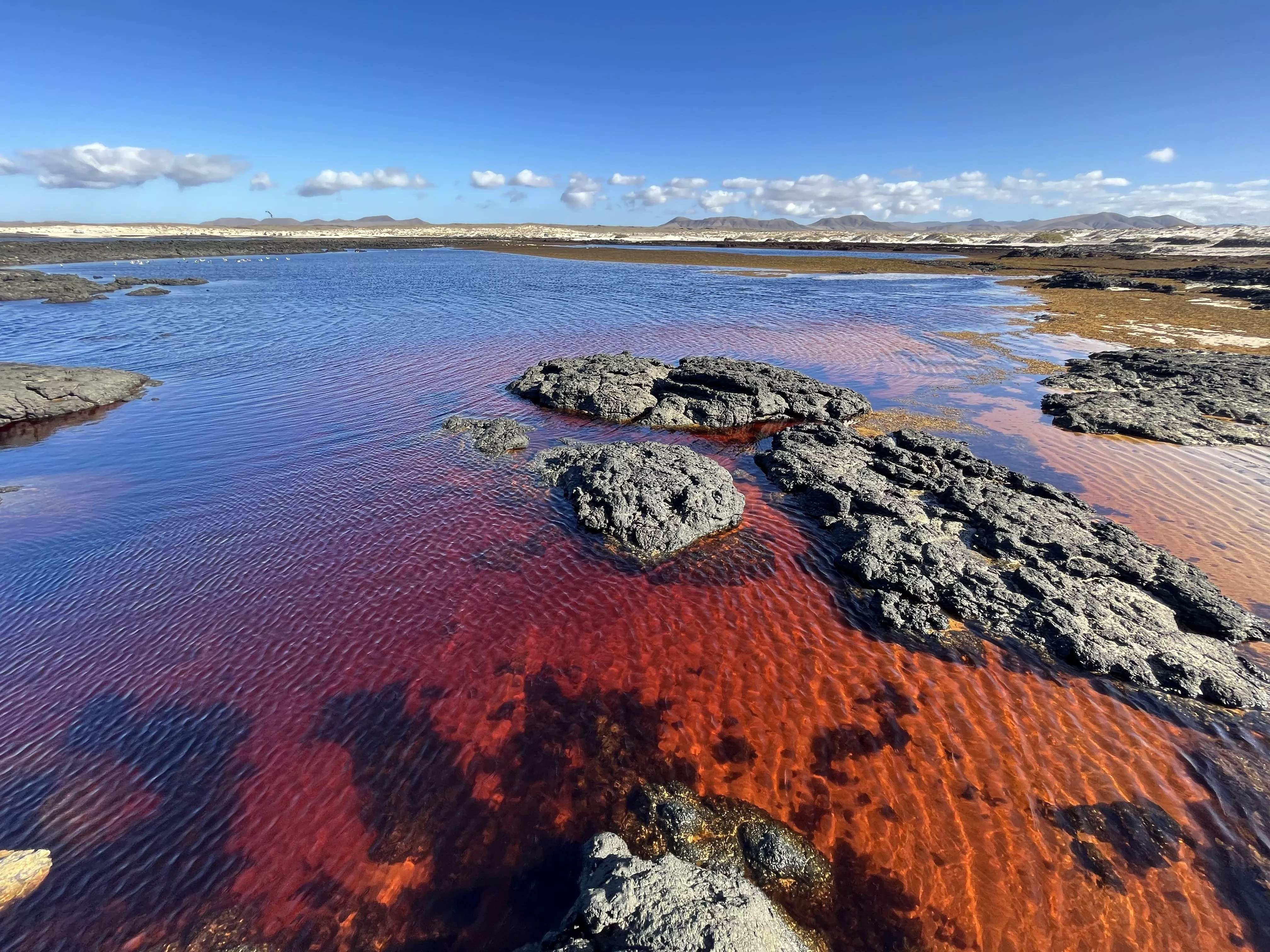Canary Island. Amazing
