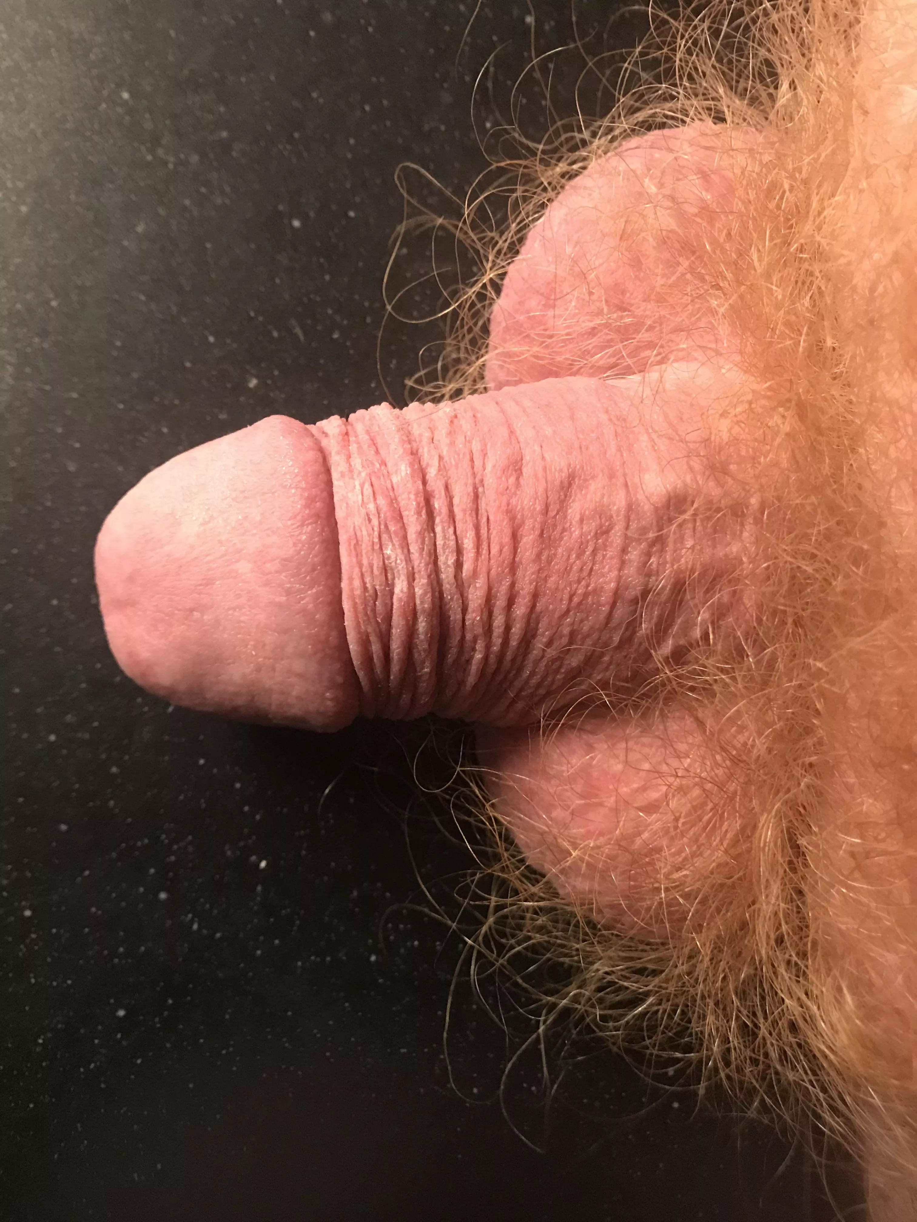 everything on the table