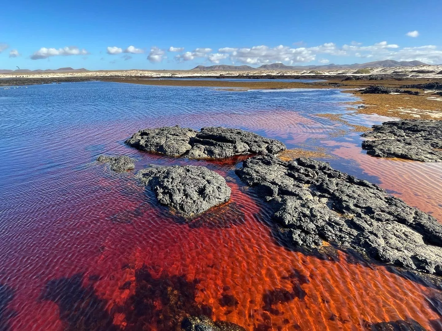 Fuerteventura, Islas Canarias