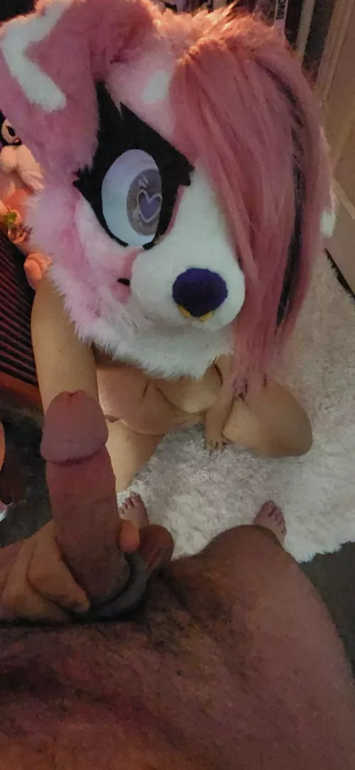 I love being a service pup ♡ (Original Content) [F/M]