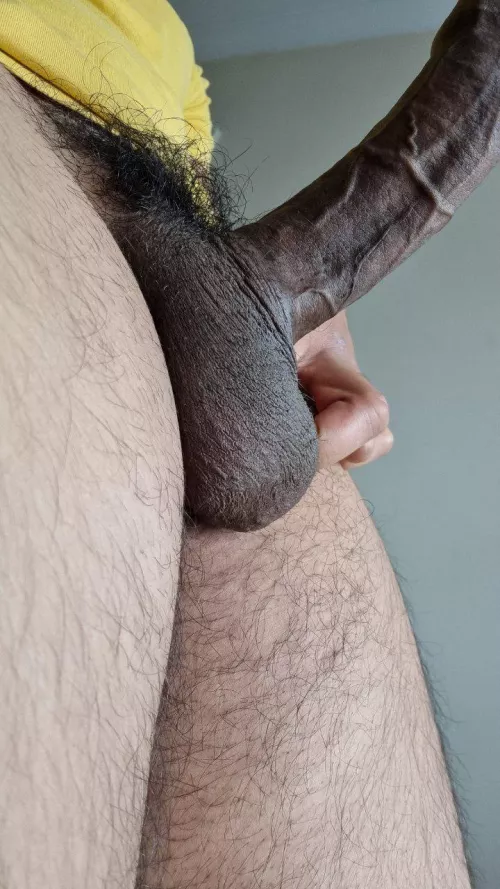 I want a good obedient boy to lick and clean me all the way from my balls to the tip of my cock, tongue circling around my balls, slowly sucking on the tip of my head before taking the full length down the throat.