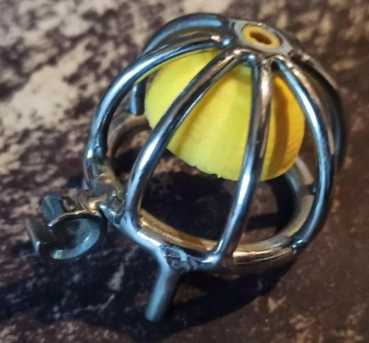 Idea for upgrading your cage