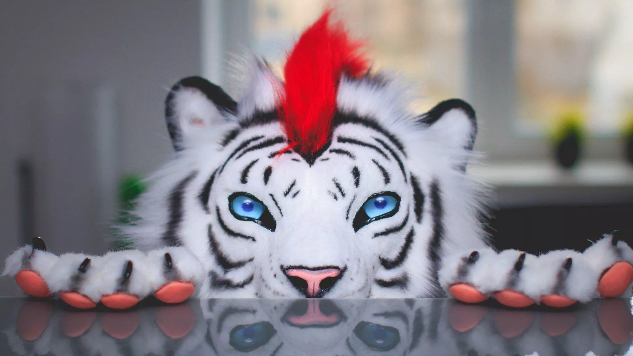 @Lorcanus on Twitter