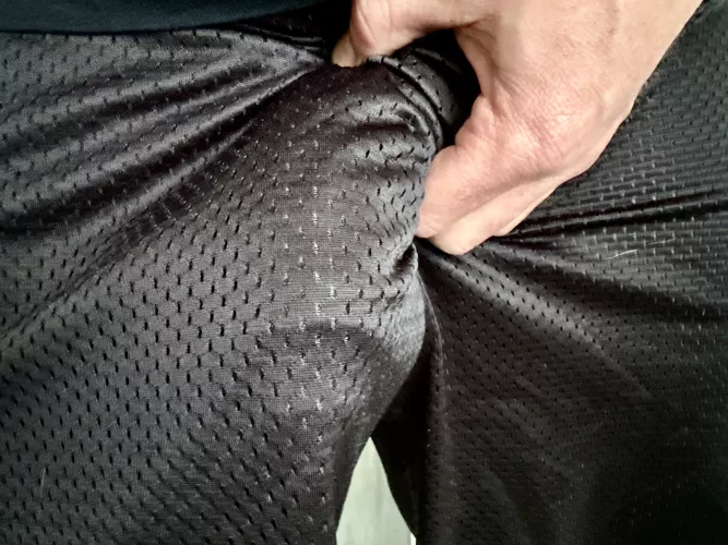 Mesh shorts > Gray sweats