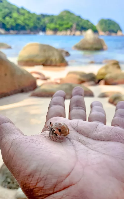 Nada como esto. 📍 Acapulco antes de Otis.