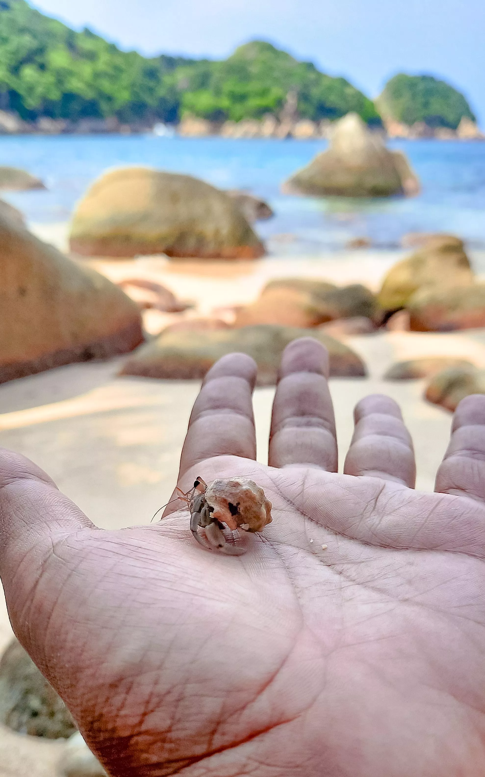 Nada como esto. 📍 Acapulco antes de Otis.