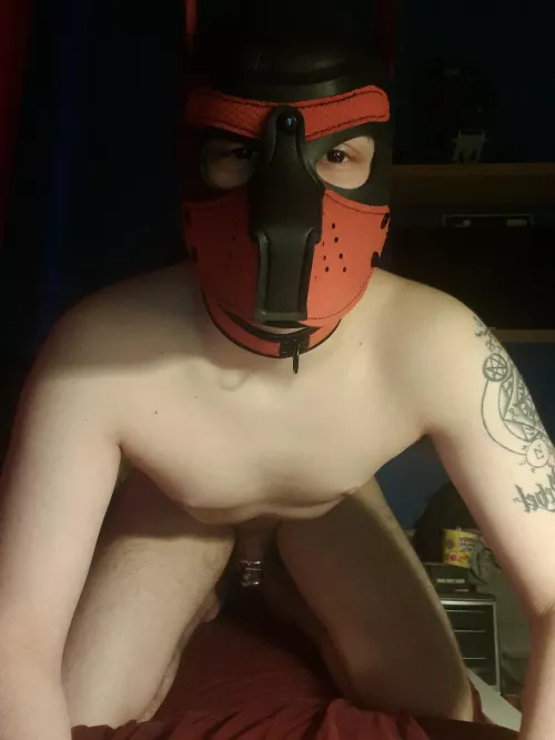 Pup just got lock up for first time