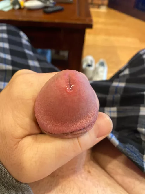 The Original Morning Drip