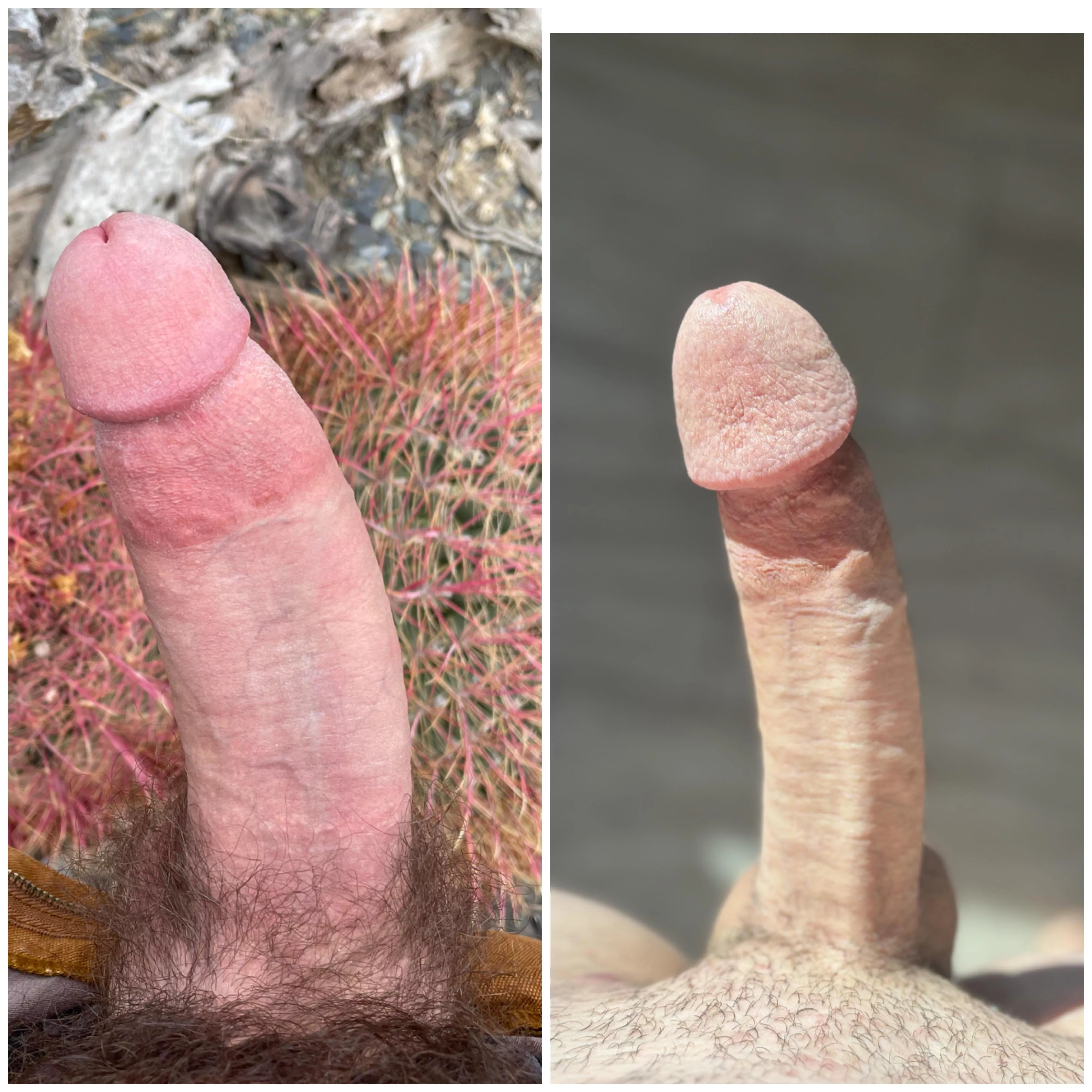 This guy on the left said he wants his way with my woman. Does he deserve it?