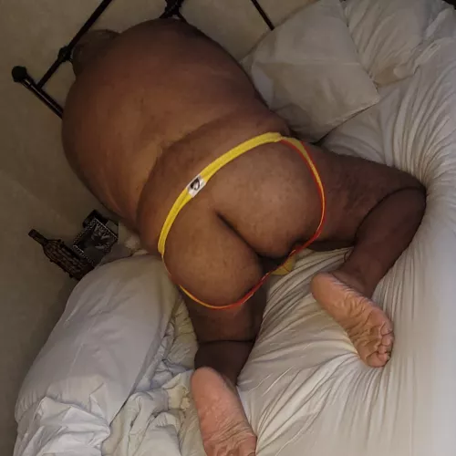 Thoughts on this Bear's Butt?