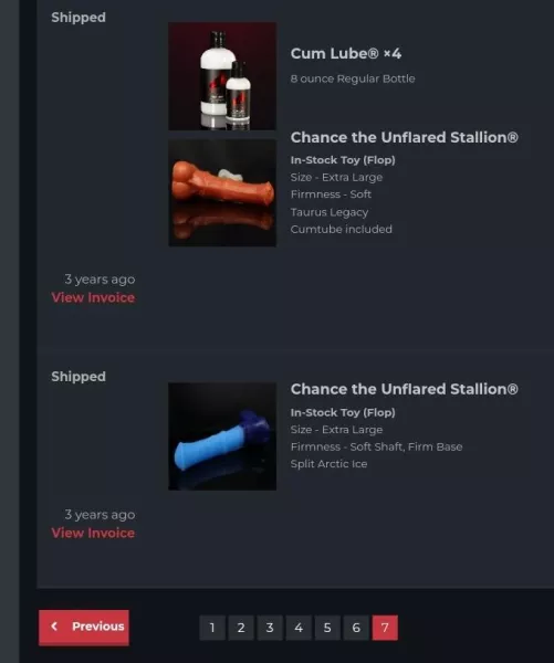 What was your first Bad Dragon?