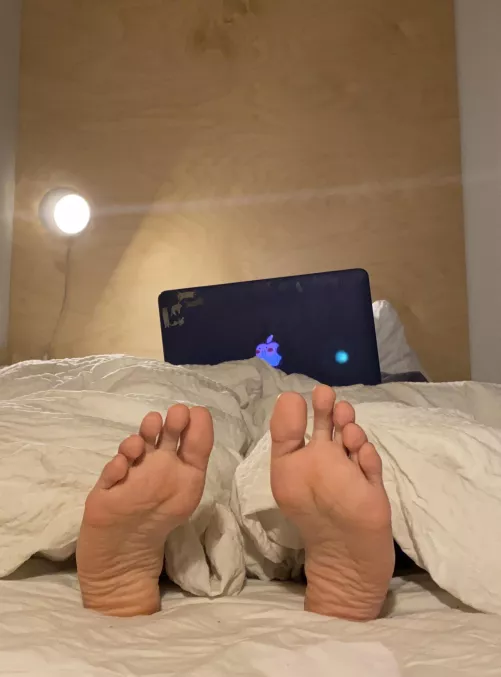 Would you rather watch Netflix with me or my soles?
