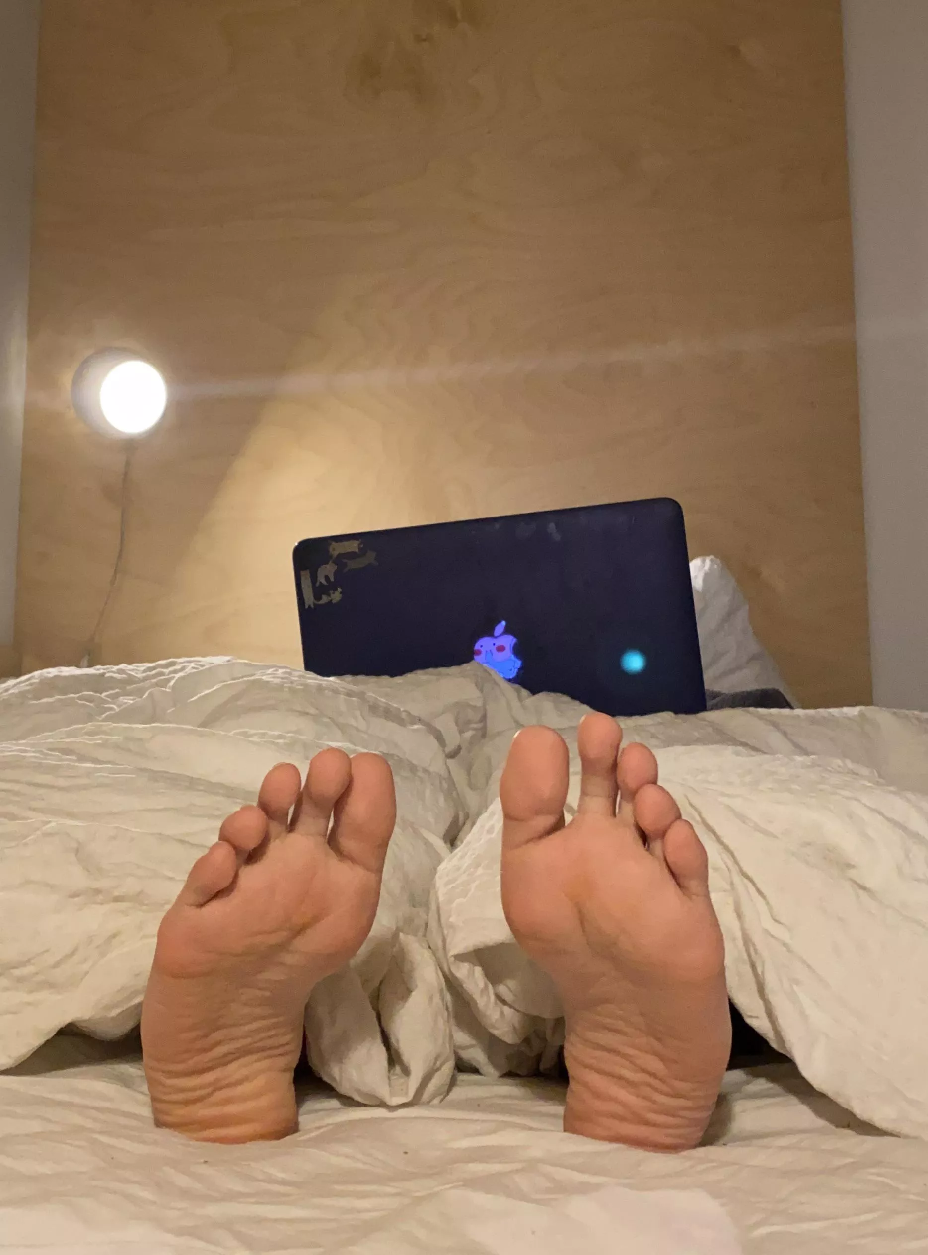 Would you rather watch Netflix with me or my soles?