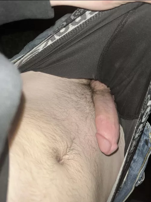 Young cock 18
