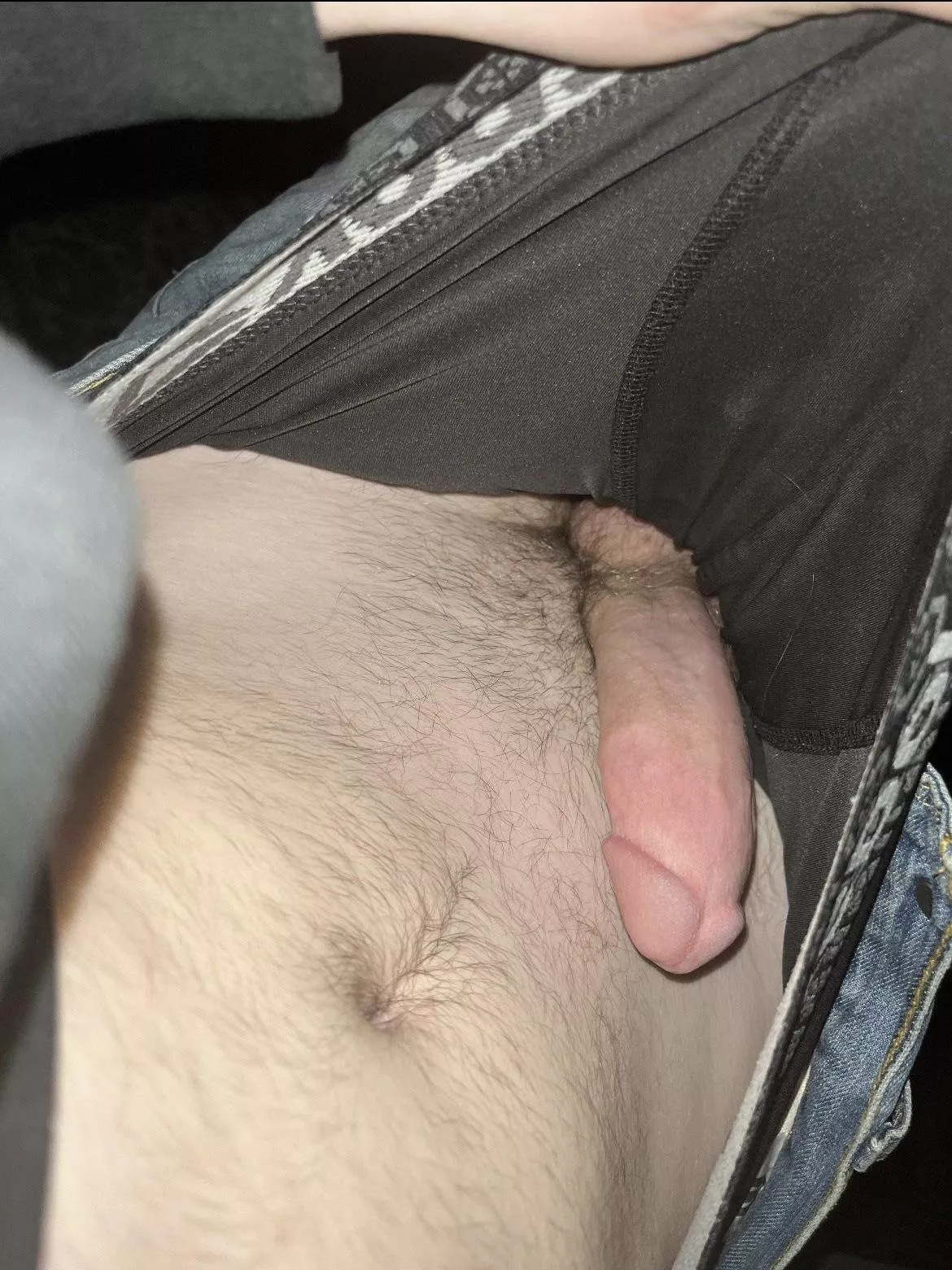 Young cock 18