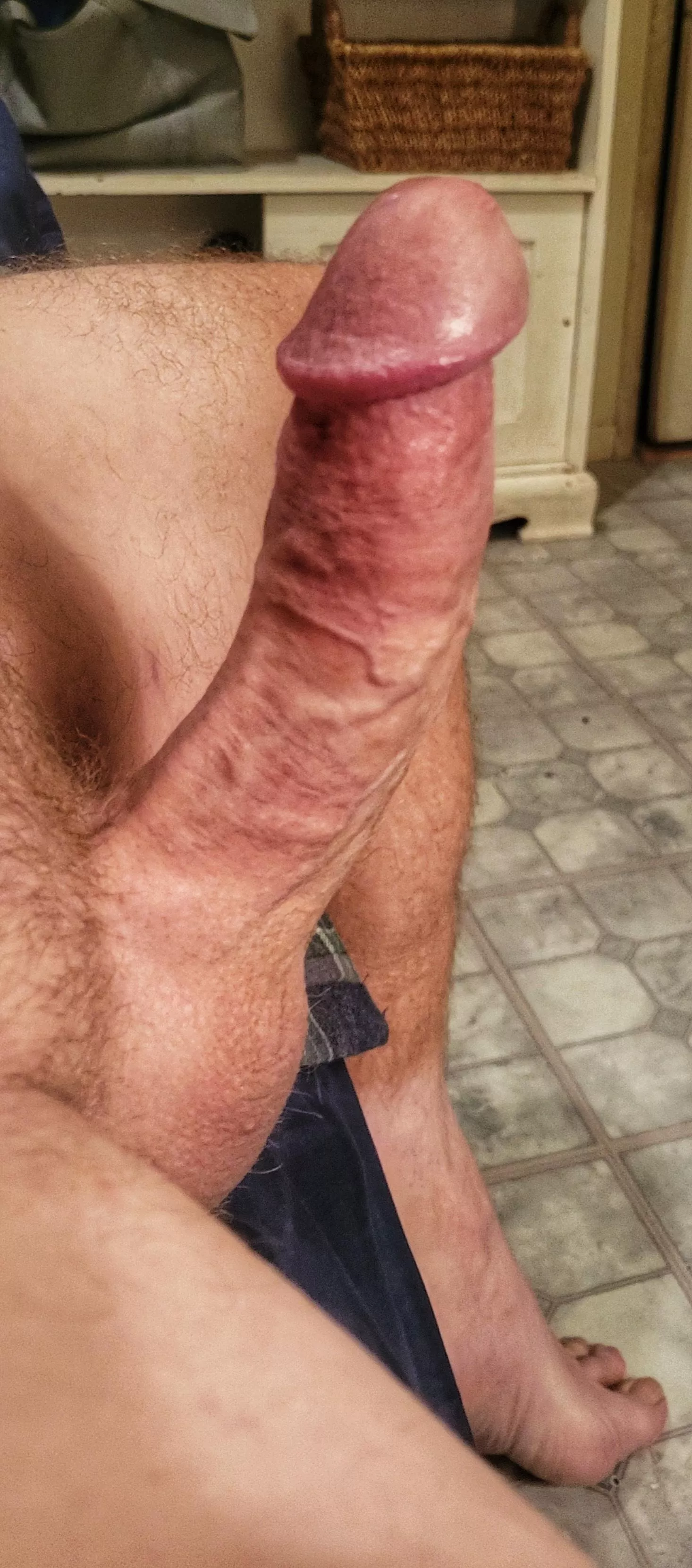(51) kneel and suck daddy's cock