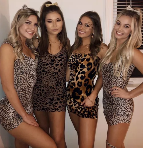 Bedrock beauties [4]