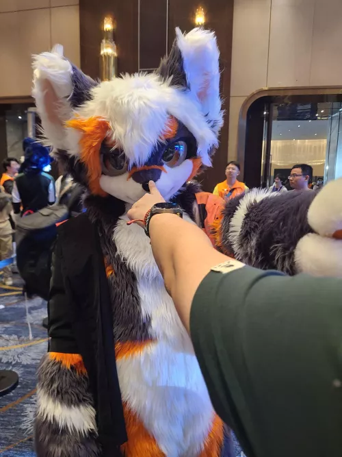 Call of the snoot (@Dispnt on Twitter)