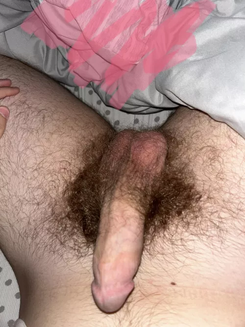 Dm me if you like my HS cock