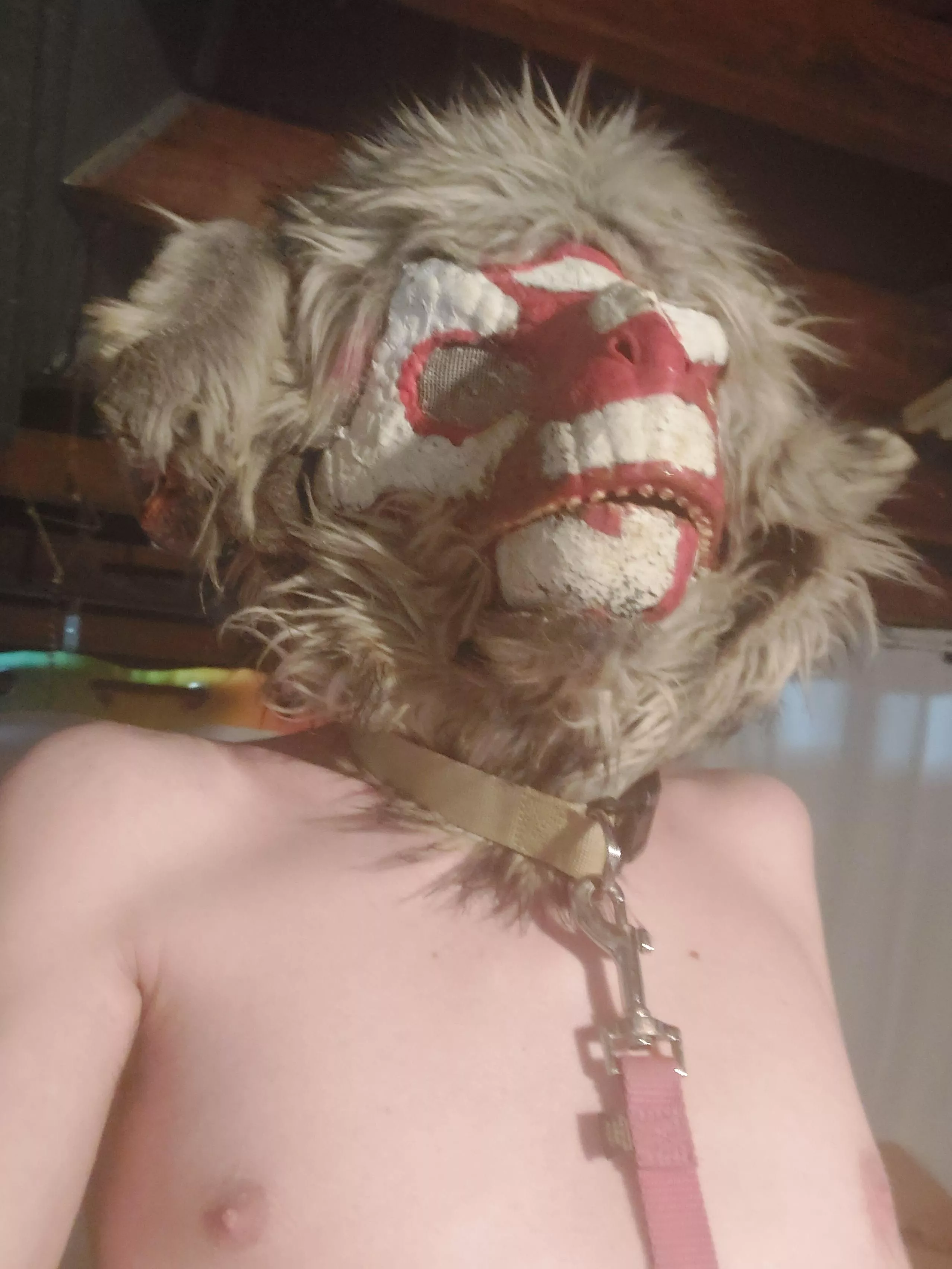 Midwest fur feast meat and greet