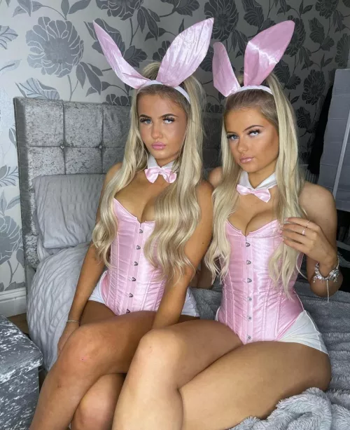 Naughty bunnies