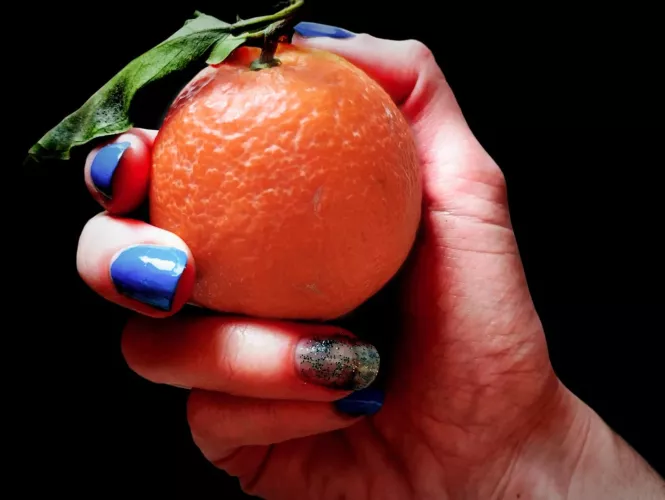 Not so annoying orange 🥰