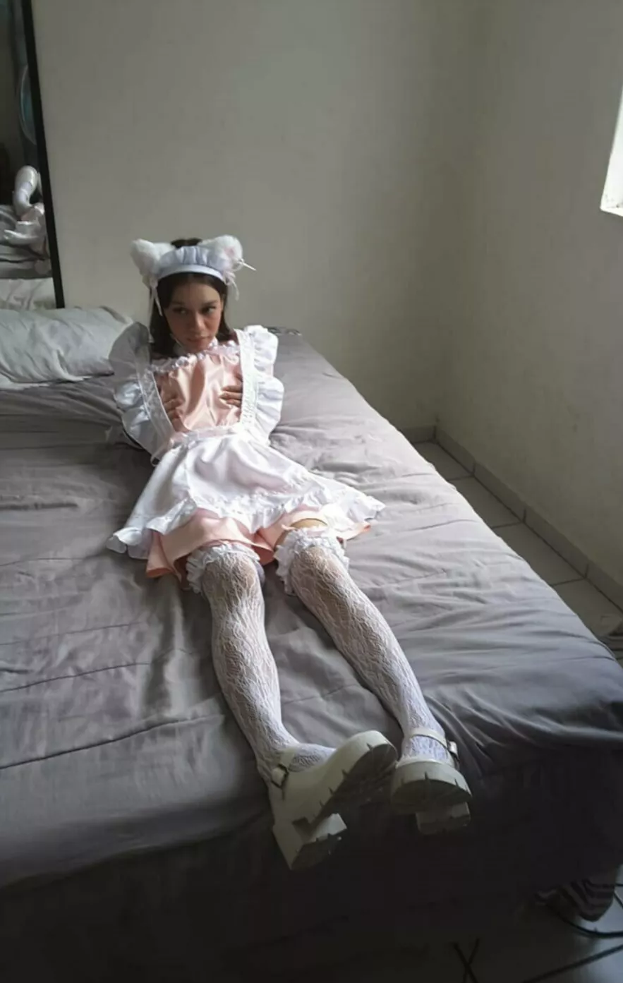 Oh no, a stray kitten 🥺