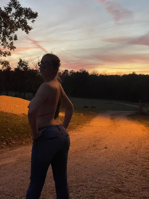 Sunsets and tits