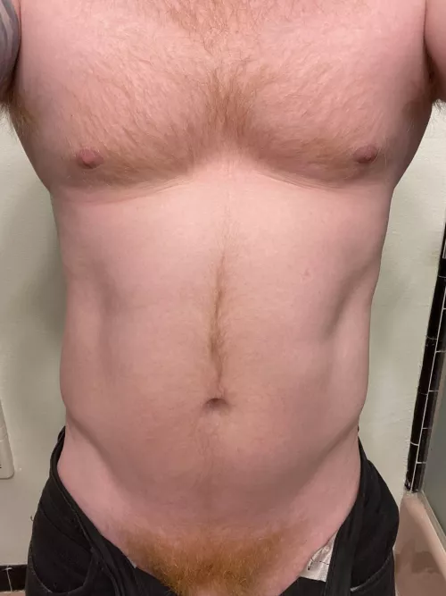 What do you think of my ginger bush?