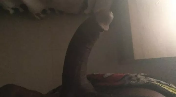 What Would You Do With It?