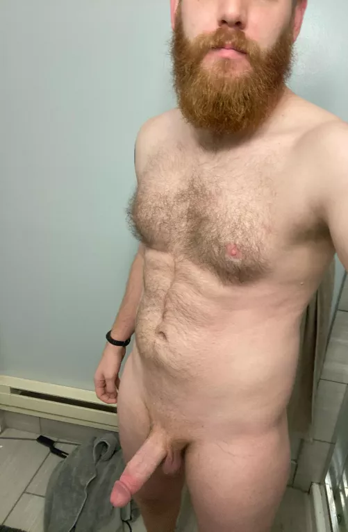 Which is better, the beard or the cock?