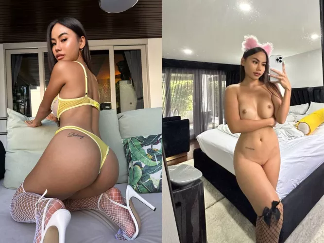 Which one is better?