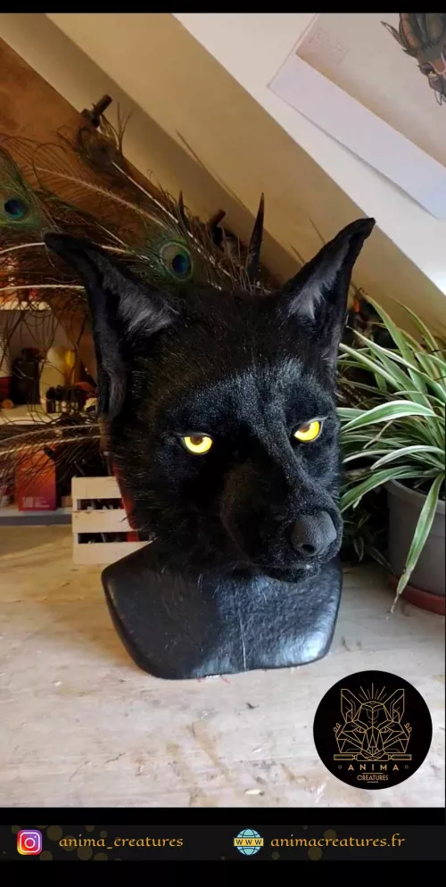 Working on this Werewolf girl for a commission 🐺 Credit : made by me, Instagram : anima_creatures