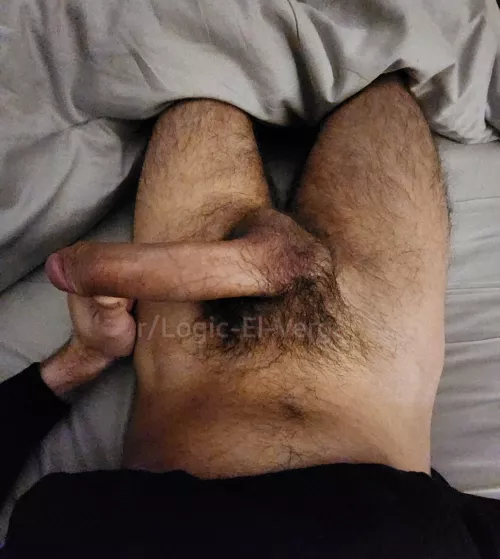 Would you let me pump your ass full ?