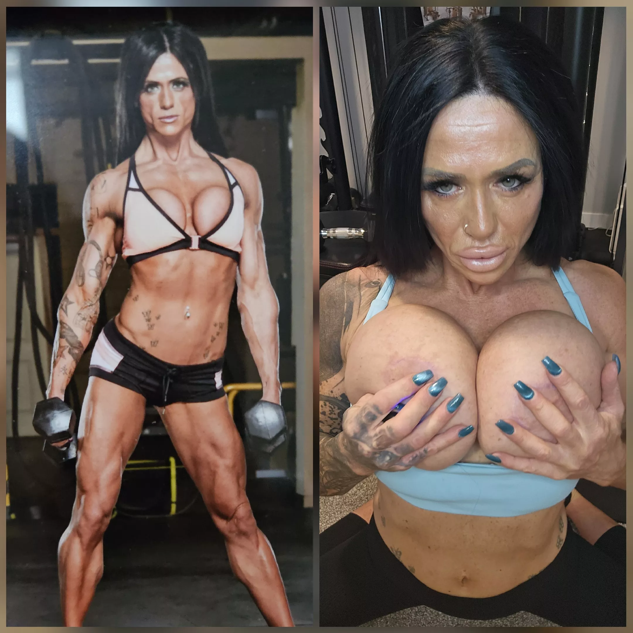 2012 375cc 2023 1250cc