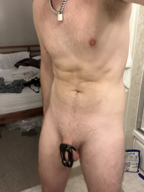 33 SPH my 8” locked cock dudes SC: Greg.90000