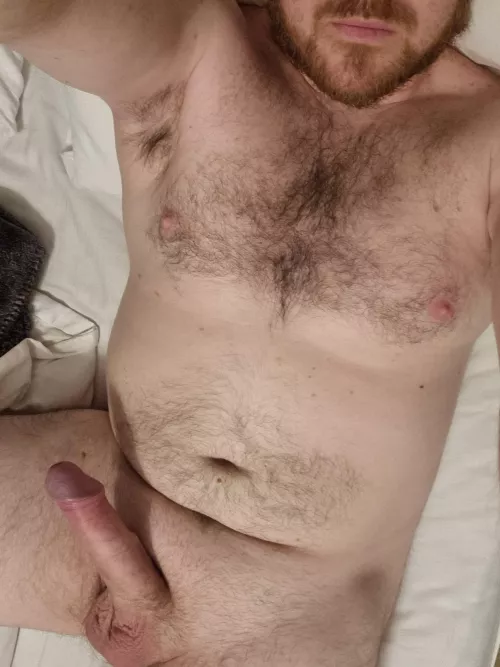 A Brit always ready to help any Americans with their stuffing