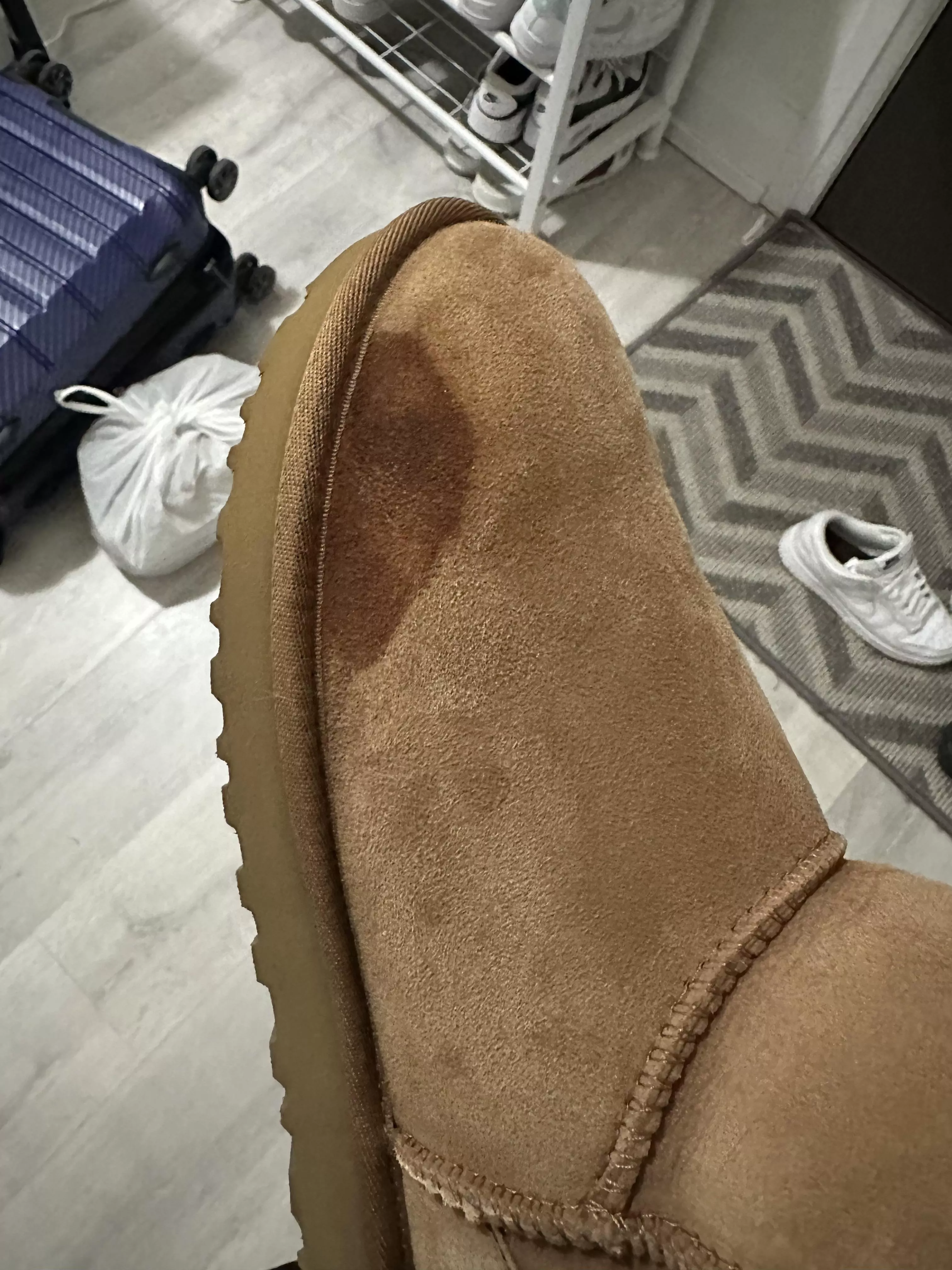 Destroyed my new Ugg boots