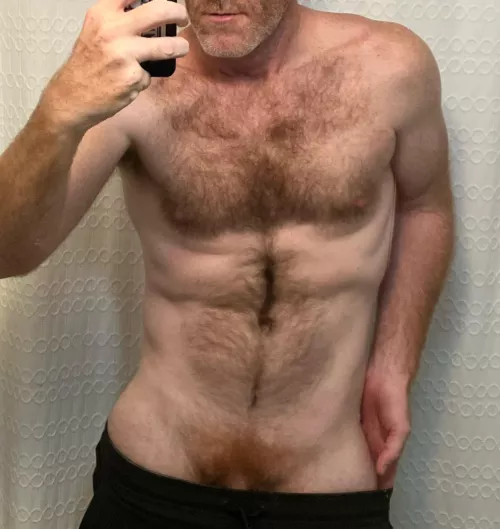 Does a (42) with some ginger fur seem like fun?