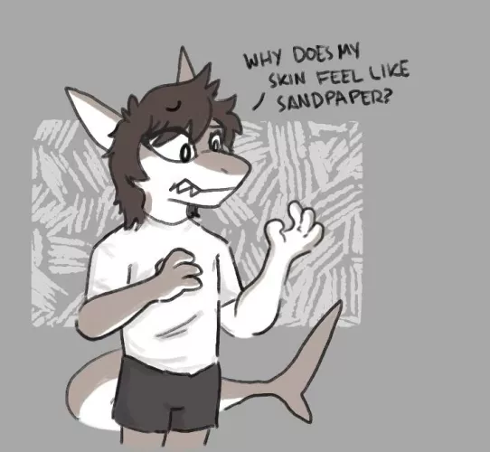 Drew my sona as a shark!