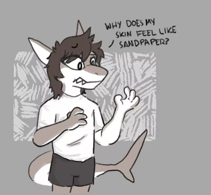 Drew my sona as a shark!