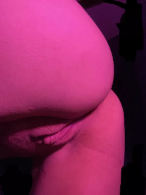 (f) stuff me for thanksgiving