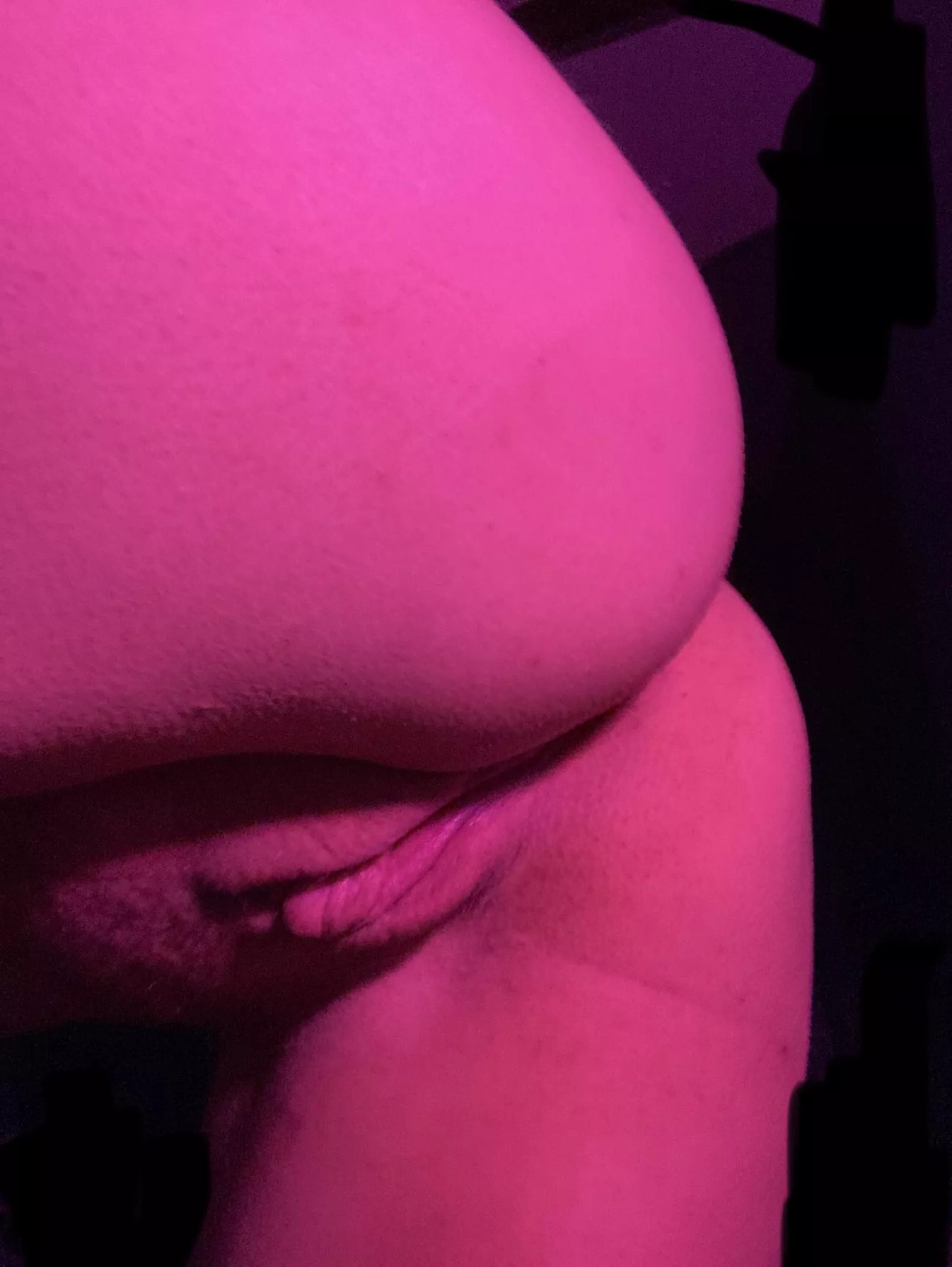 (f) stuff me for thanksgiving