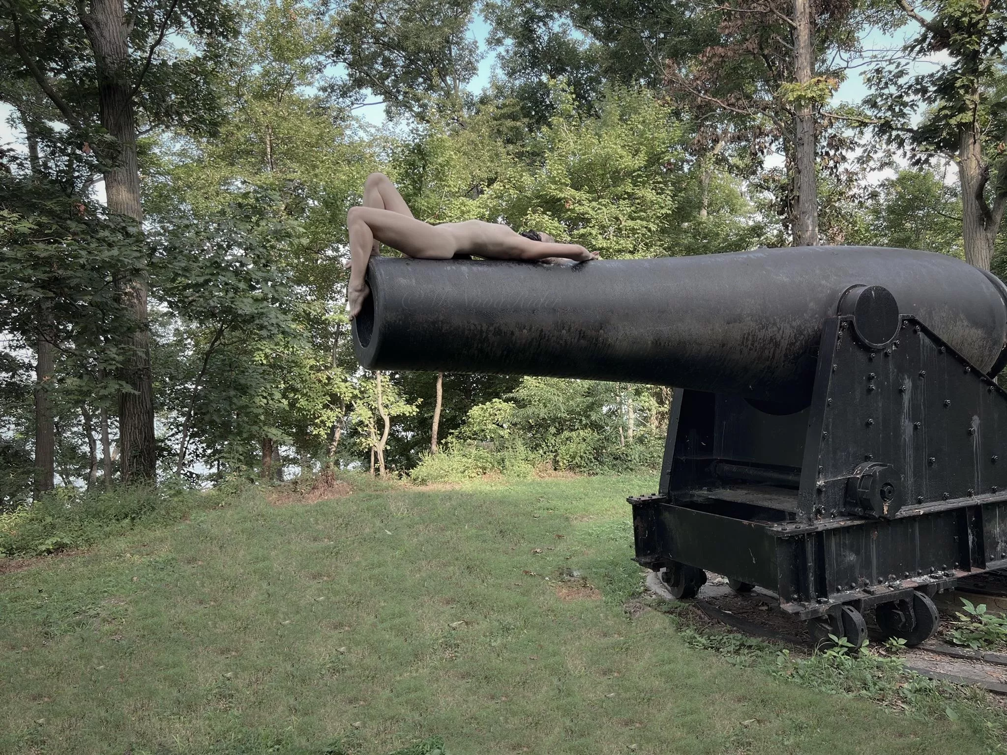 Found a Big Black Canon