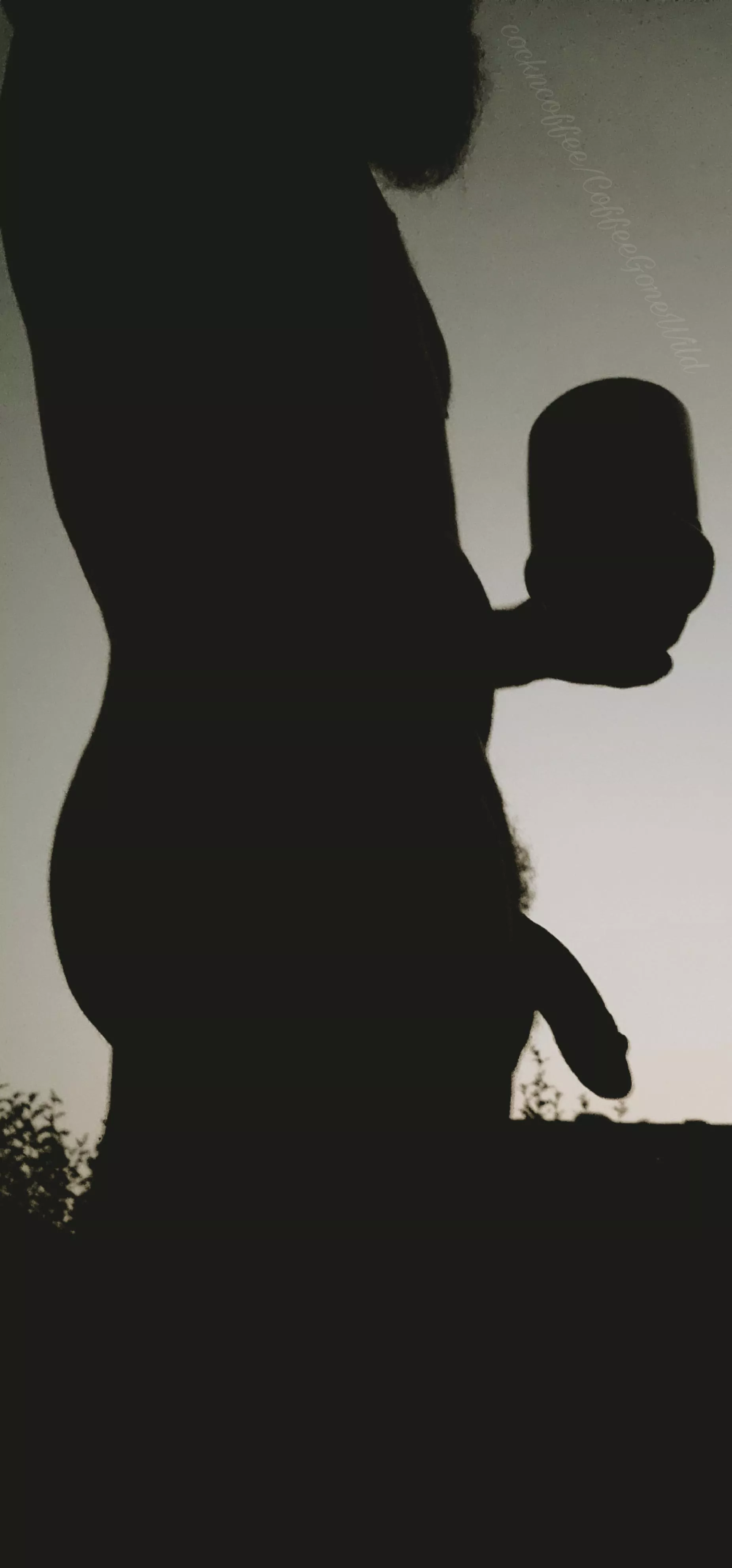 Happy Thanksgiving, CGW!