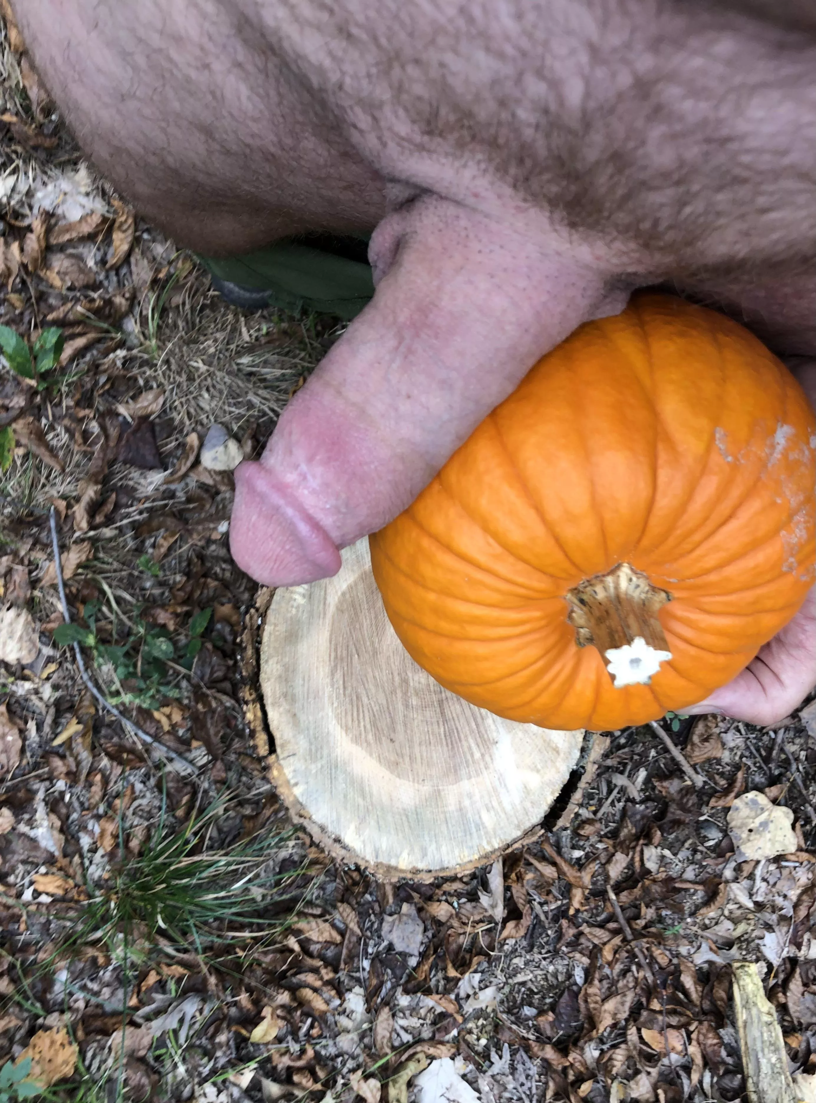 Here’s a reminder not to forget the pumpkin pie. Happy Thanksgiving form dad(55)