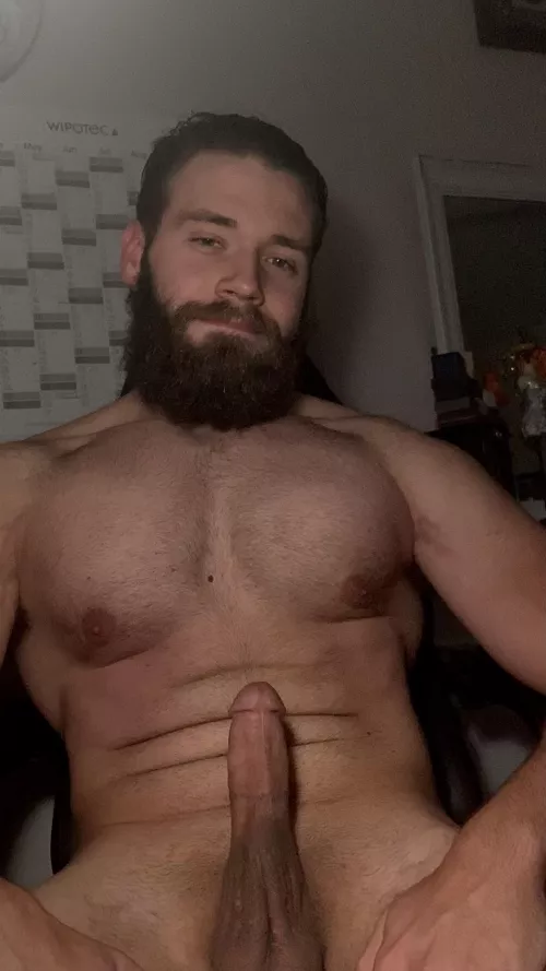 I’d rather be stuffing your turkey