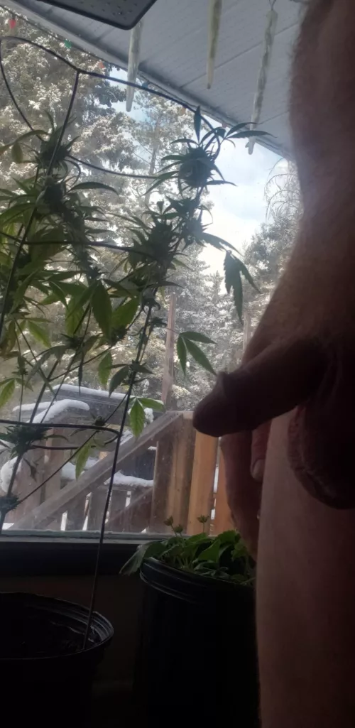 (M)an its growing nice 👌