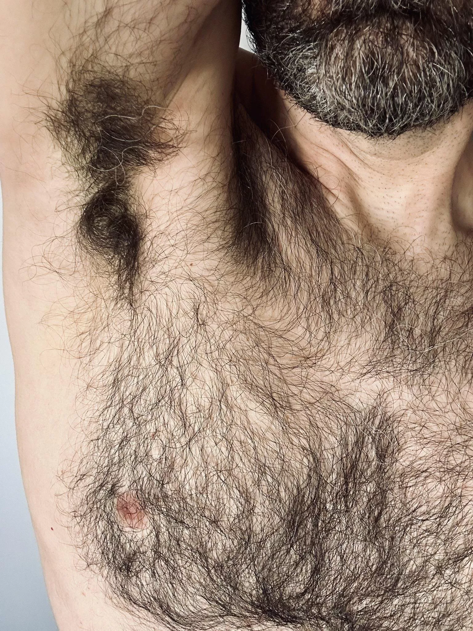my thick beard, pit & tit